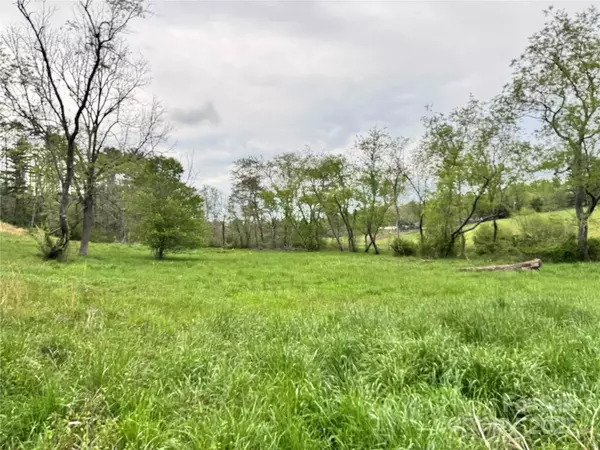 Asheville, NC 28806,38 Flourish Farm LN
