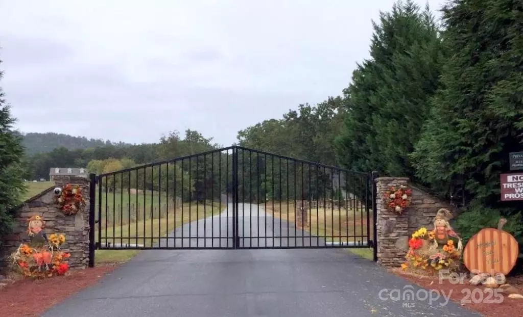 Bostic, NC 28018,121 Arbra Mountain WAY
