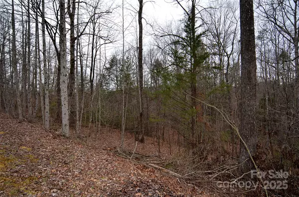Nebo, NC 28761,V/L #32 Bent Creek DR #32