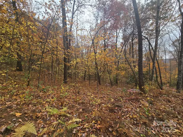 Sylva, NC 28779,232 Cabe RD