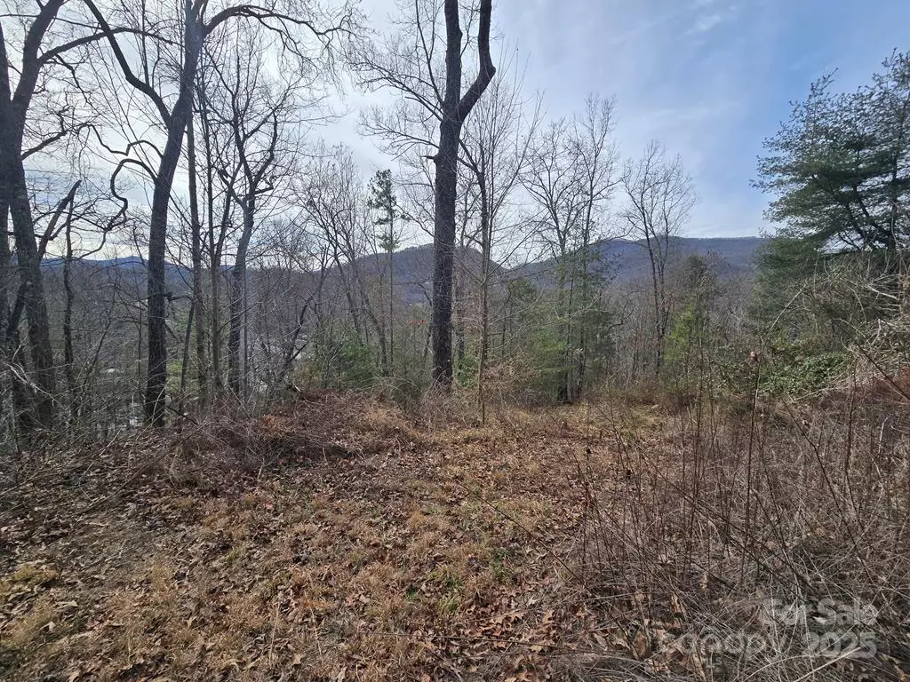 Dillsboro, NC 28725,425 Crocus LN