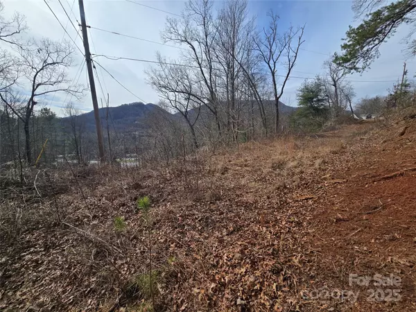 Dillsboro, NC 28725,425 Crocus LN