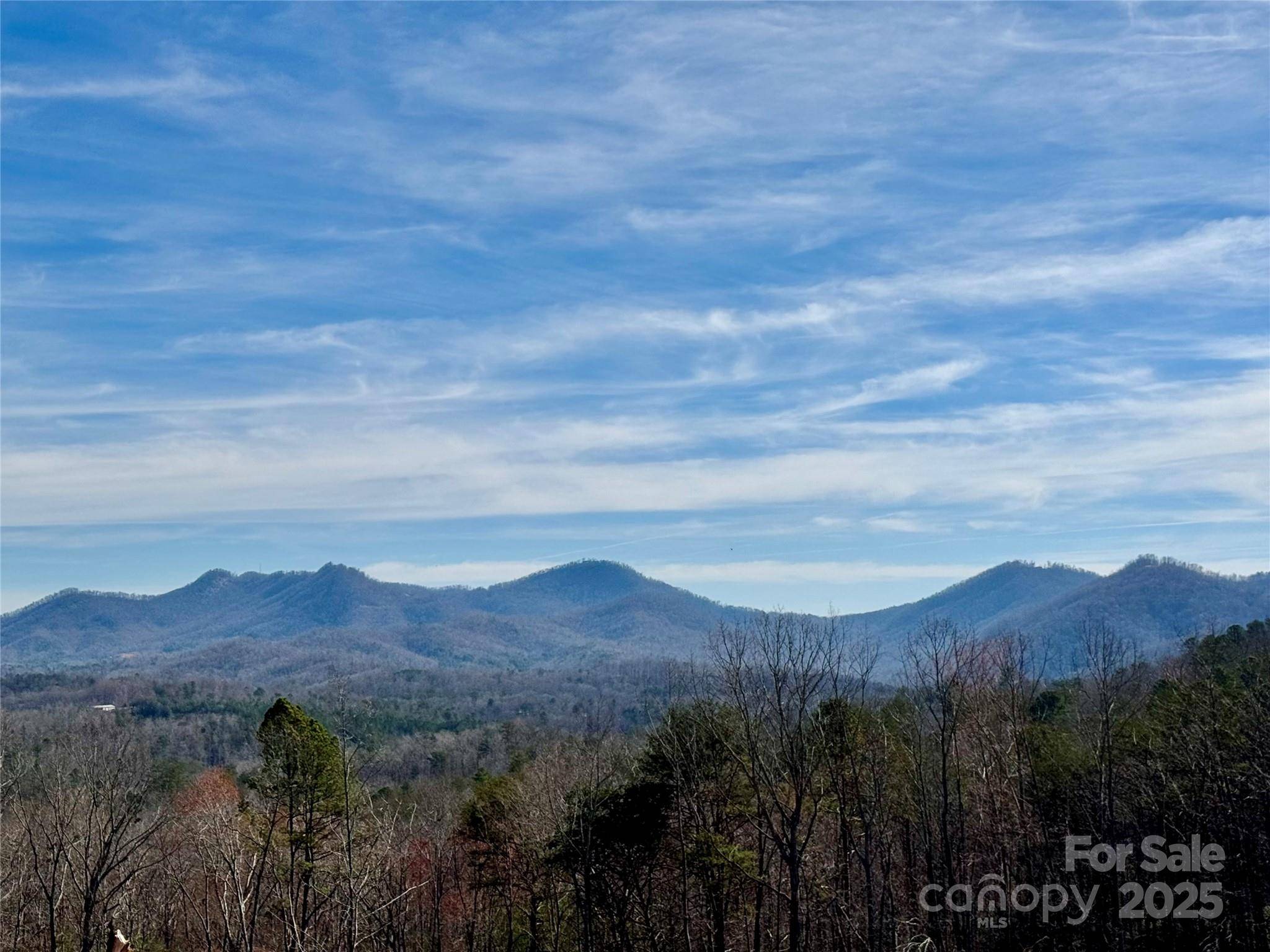 Lake Lure, NC 28746,261 & 263 Boland DR