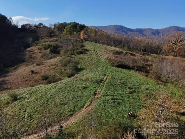 Candler, NC 28715,Lot 3 Murphy Cove RD