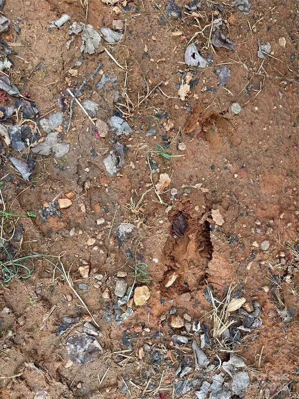 Elkin, NC 28621,00 Austin Traphill RD #B