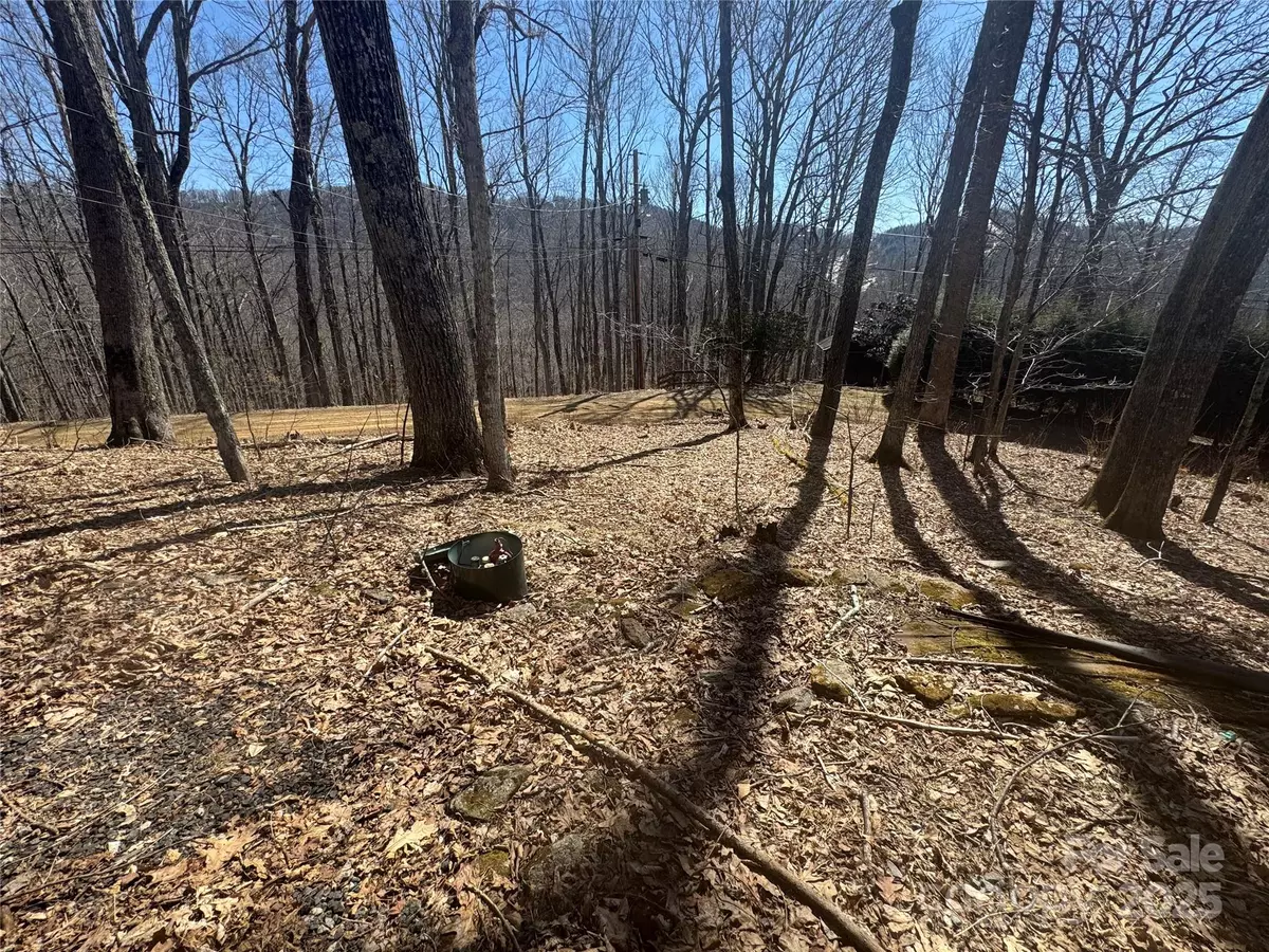 Mars Hill, NC 28754,395 Sugar Tree LN