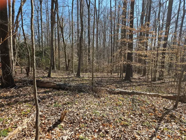 Rutherfordton, NC 28139,0 General Griffith CIR #35 & 37