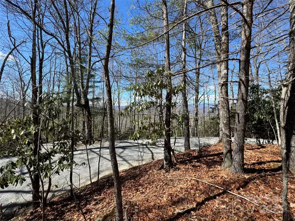 Pisgah Forest, NC 28768,Tract 32-B Kentwood LN