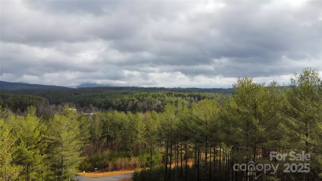 26 Peninsula Reserve RD #26, Nebo, NC 28761