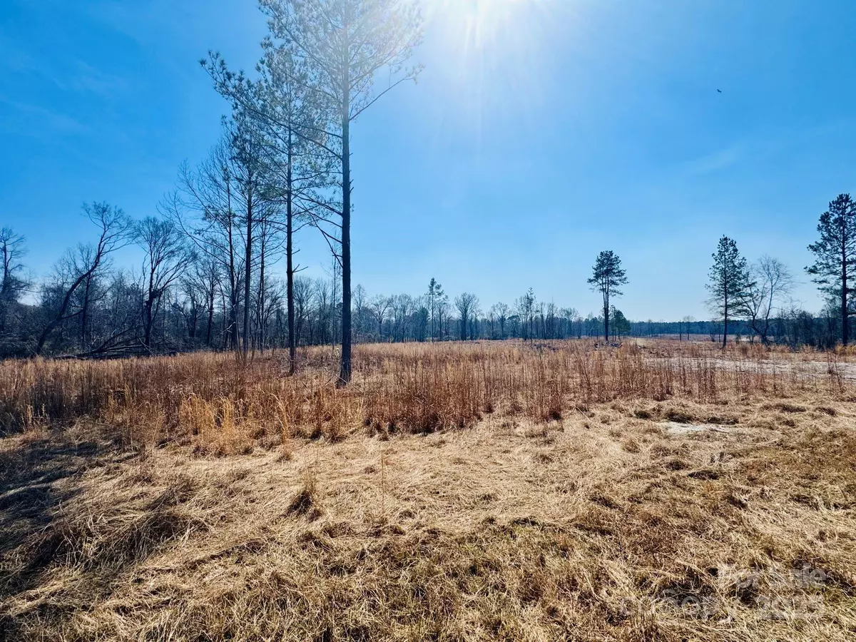 Cheraw, SC 29520,Lot 3 Woodbine RD #3