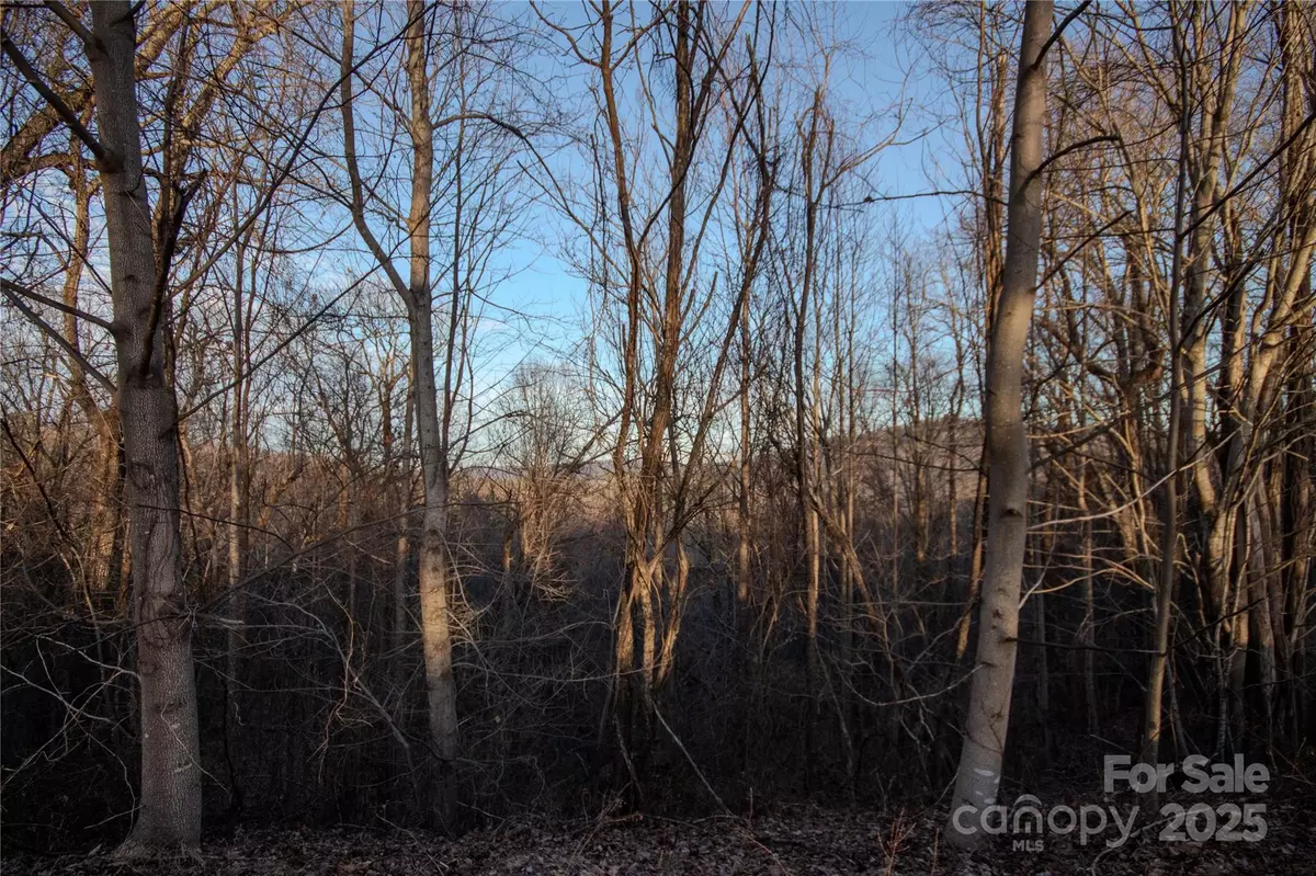 Lenoir, NC 28645,Lot# 22 Autumn RDG #22