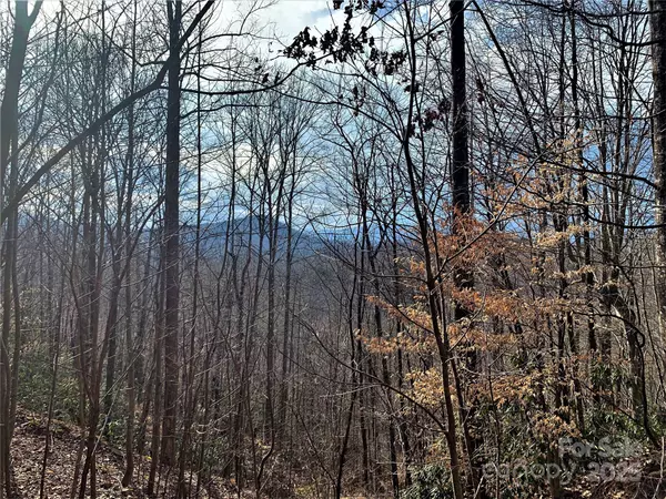Marion, NC 28752,171 Woodchuck LN N #118 & 119