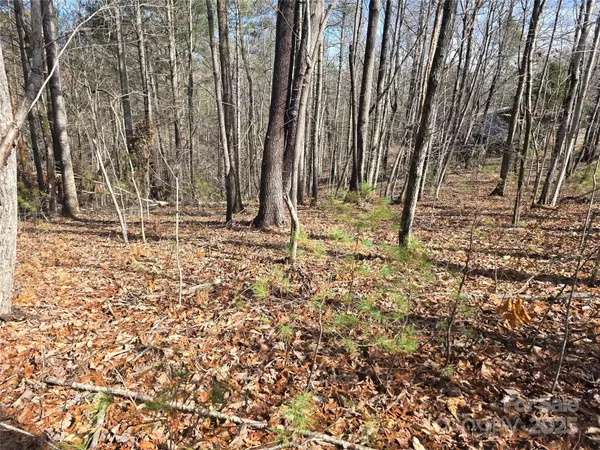 Lenoir, NC 28645,000 Honeycomb PL