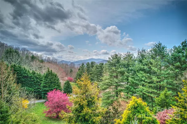 Clyde, NC 28721,225 Seasons DR