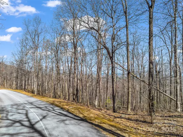Mill Spring, NC 28756,183 Chesterfield DR #183