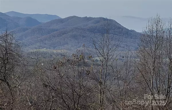 Canton, NC 28716,989 High Rock View DR #50
