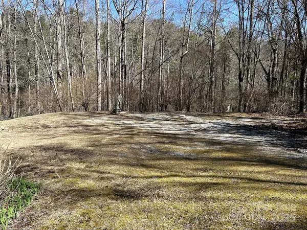 Flat Rock, NC 28731,tbd General Hill RD