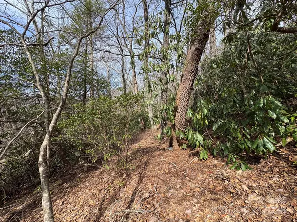 Sapphire, NC 28774,L2 Windy Gap LN