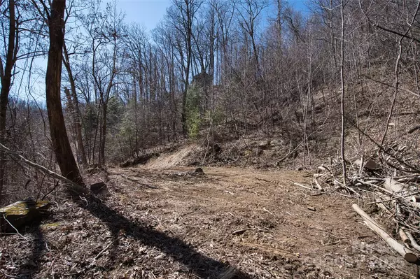 Barnardsville, NC 28709,99999 Green Ridge Falls RD #17
