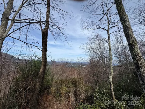 Sapphire, NC 28774,L3 Windy Gap LN