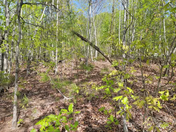 Union Mills, NC 28167,0 Shire LN