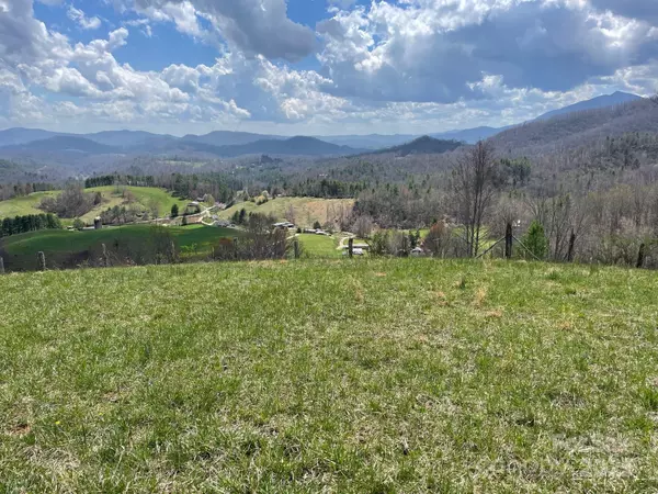 Green Mountain, NC 28740,999 Chestnut Mountain DR