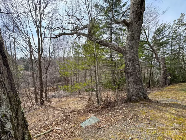 Elk Park, NC 28622,1 Falls Creek Pkwy