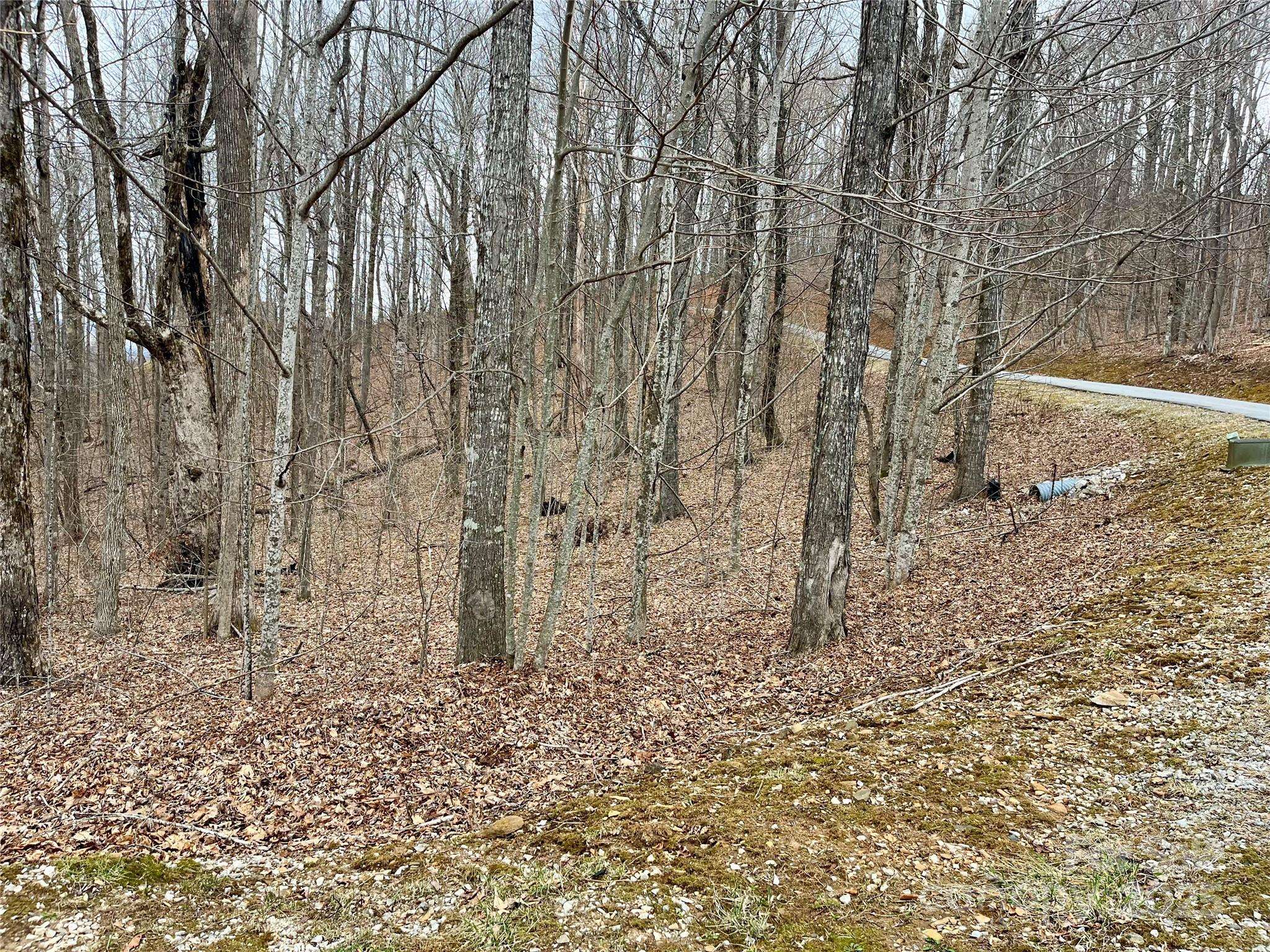 Spruce Pine, NC 28777,TBD Alderfly CT