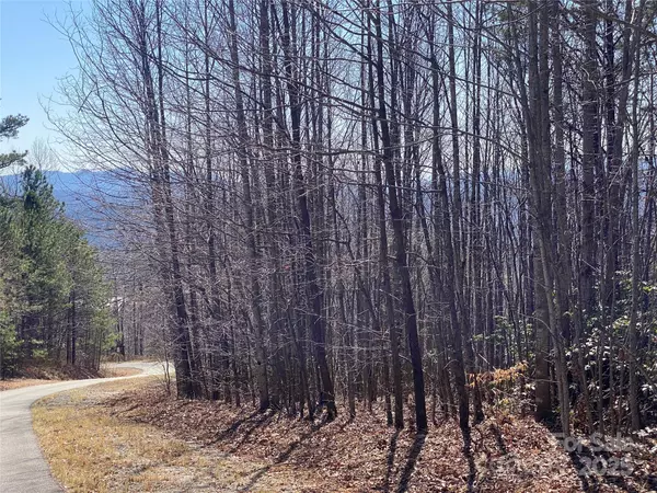 Marion, NC 28752,Lot 72 Mountain Crest DR S