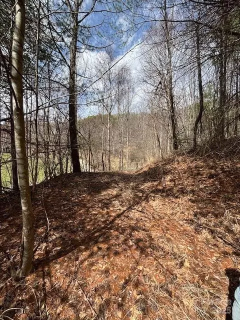 Mars Hill, NC 28754,25 Green Meadow LN #25