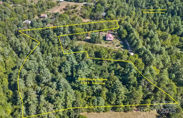 Weaverville, NC 28787,99999 Rocky HOLW #Tract 3