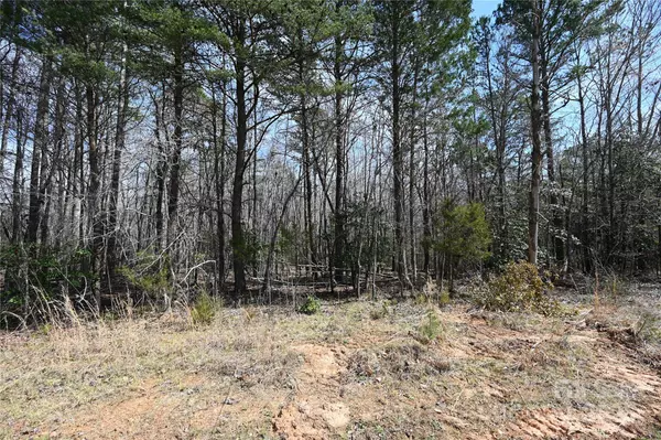 Blacksburg, SC 29702,00 E Bells Branch RD #1