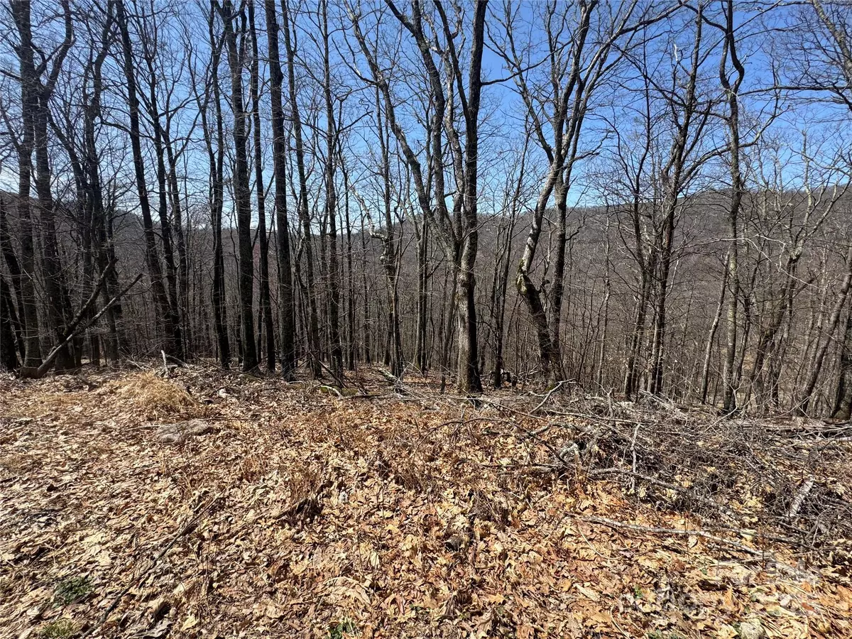 Mars Hill, NC 28754,334-335-336 Hamlin LN