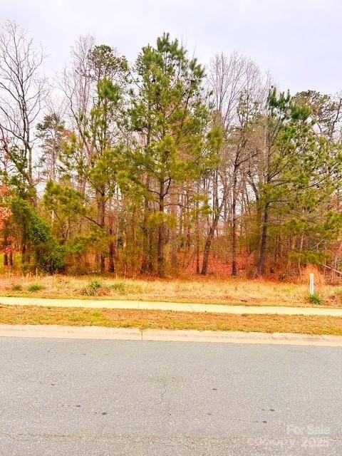 213 Delancy ST, Locust, NC 28097