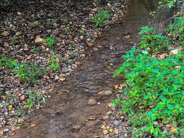 Roaring River, NC 28669,264 McKinley RD