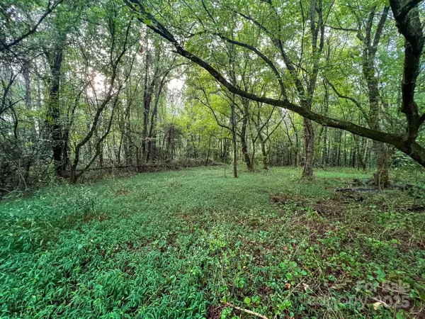 Roaring River, NC 28669,264 McKinley RD