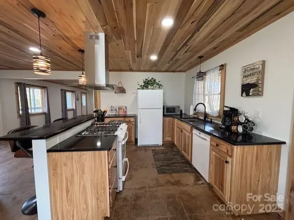 Whittier, NC 28789,43 Flaming Arrow DR