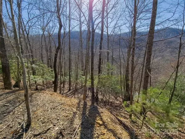 Arden, NC 28704,195 Smokemont DR #64