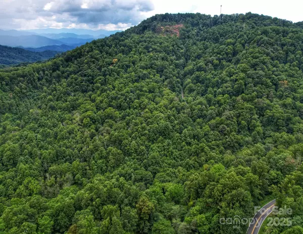 Mars Hill, NC 28754,00 Windy Gap RD #Tract B
