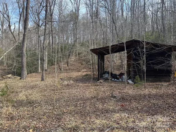 Lake Lure, NC 28746,137 Cottage PL