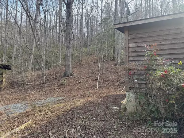 Lake Lure, NC 28746,137 Cottage PL