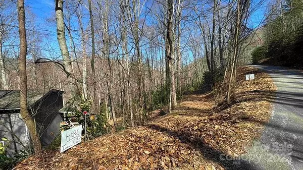 Maggie Valley, NC 28751,0 Summit DR