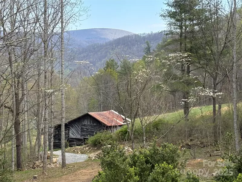 (East Lot) TBD Silas Branch RD, Burnsville, NC 28714