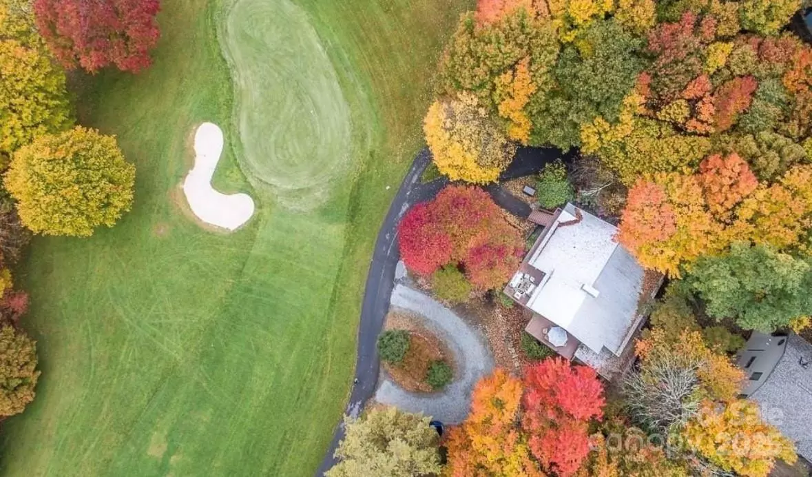 Beech Mountain, NC 28604,103 Golf LN