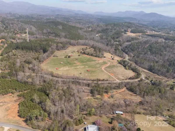 Lake Lure, NC 28746,2311 Freemantown RD