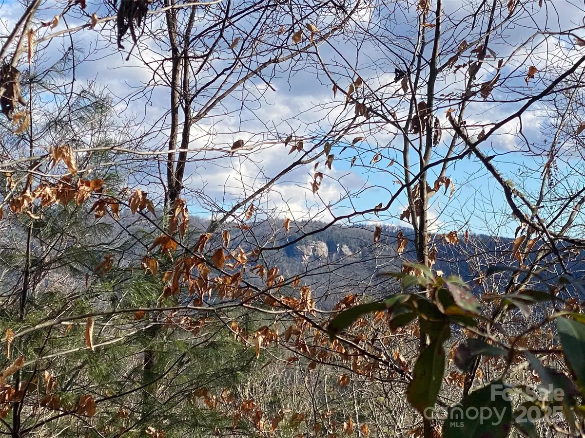 Brevard, NC 28712,999 High Point TRL
