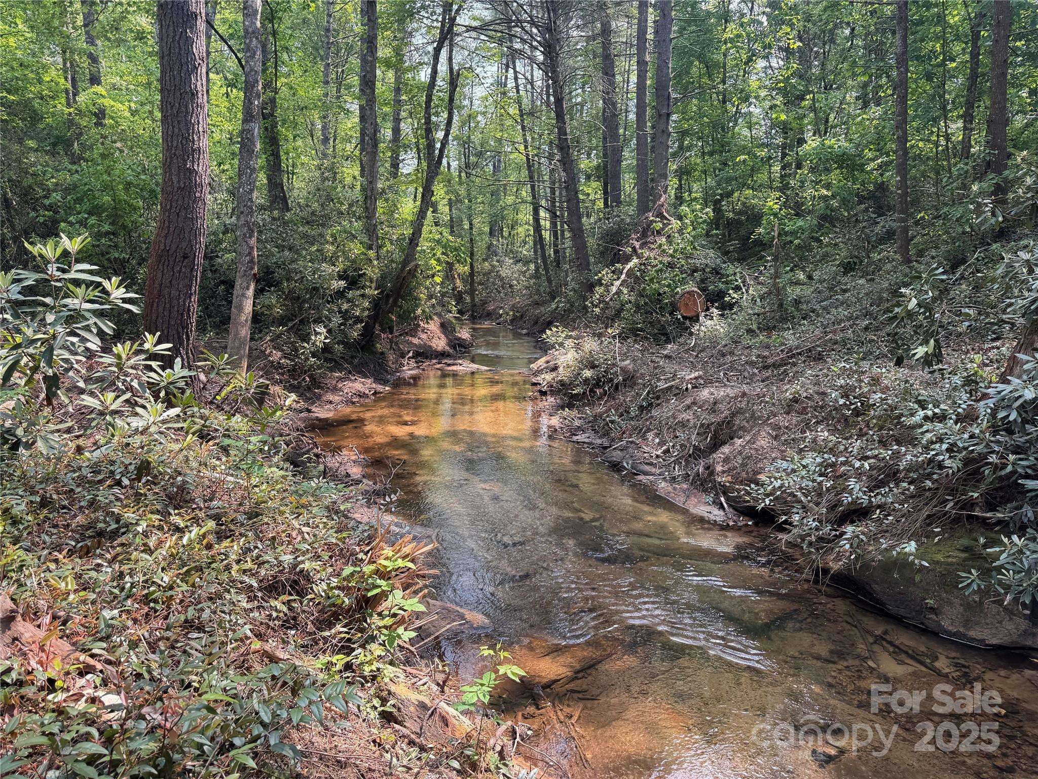 Cedar Mountain, NC 28718,45 Stones Lake RD