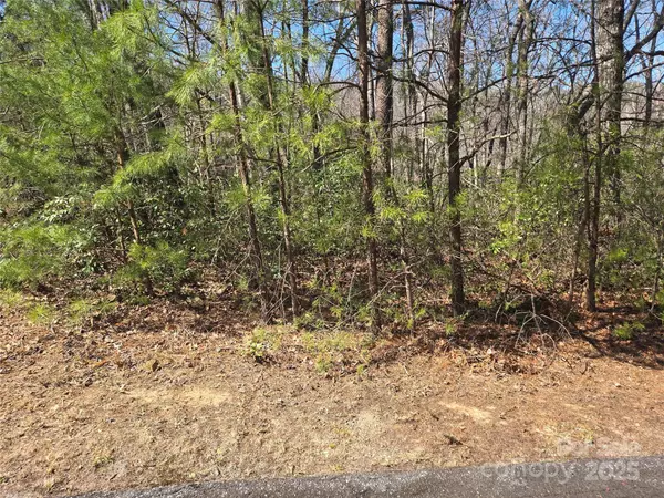 Lot 39 Flynn CT, Lake Lure, NC 28746
