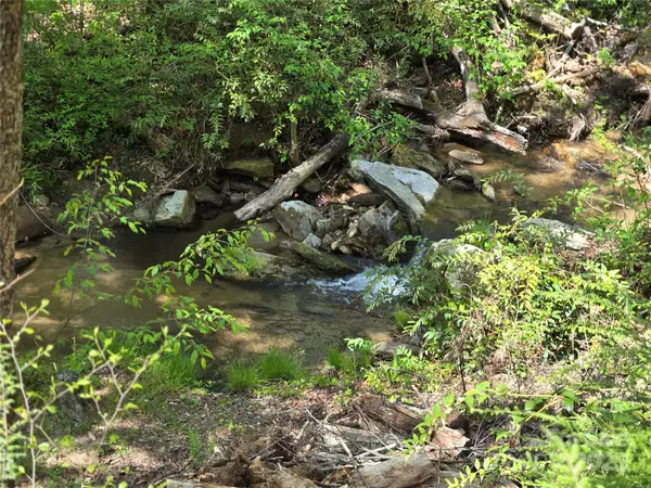 Lake Lure, NC 28746,Lot 64 &  65 Walnut LN