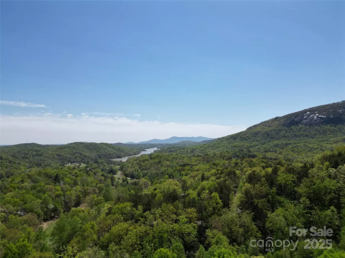 Lake Lure, NC 28746,Lot 114 Summit CT